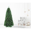 Copertina del libro ALBERO GREEN PEAK SLIM 210cm