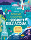 Copertina del libro I SEGRETI DELL'ACQUA