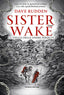 Copertina del libro SISTER WAKE - LA VEGLIA DELLE