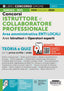 Copertina del libro CONCORSI ISTRUTTORE E COLLABORATORE PROF