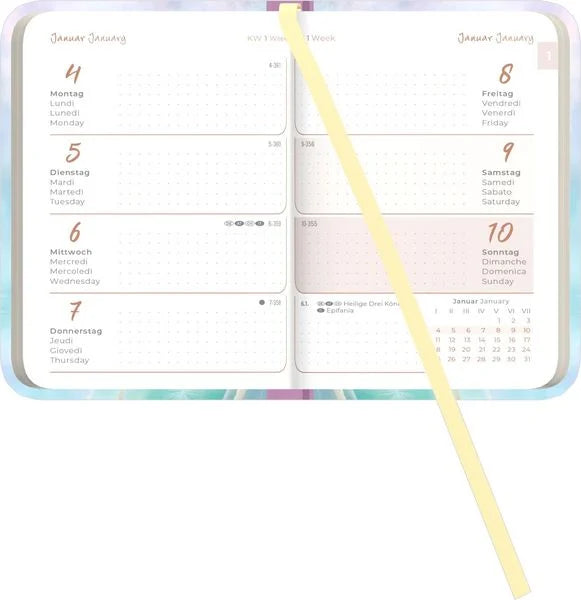 AGENDA 12 MESI SETTIMANALE LADY JOURNAL 2027 BLOWBALLS MINI 8X12CM