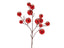 WP_SYNC_EAN:8059824407337 | 8059824407337.jpg
