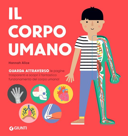 WP_SYNC_EAN:9788809948723 | 9788809948723.jpg Immagine principale del prodotto