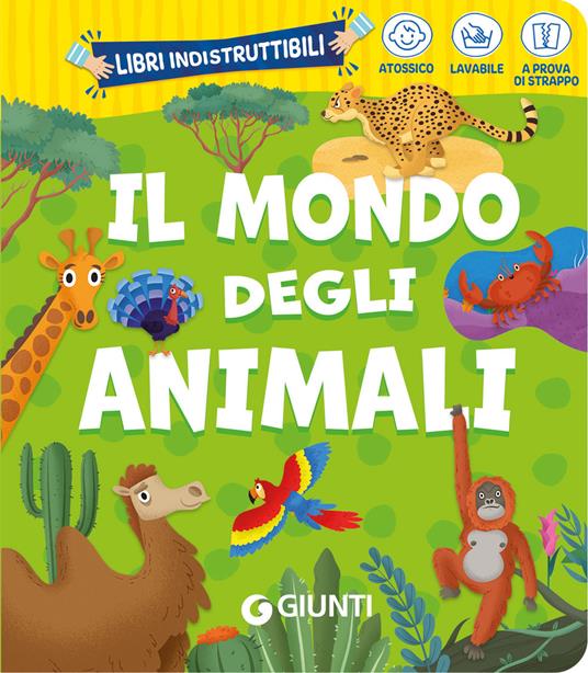 WP_SYNC_EAN:9788809981522 | 9788809981522.jpg Immagine principale del prodotto