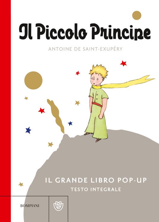 WP_SYNC_EAN:9788830109063 | 9788830109063.jpg Immagine principale del prodotto