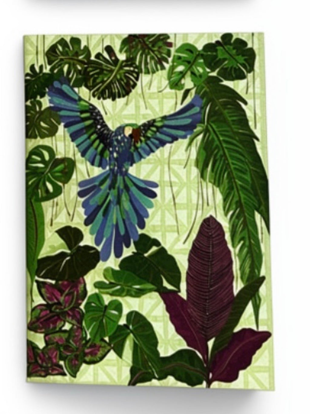 NOTEBOOK A6 TURNOWSKY EVERYDAY PAPPAGALLO