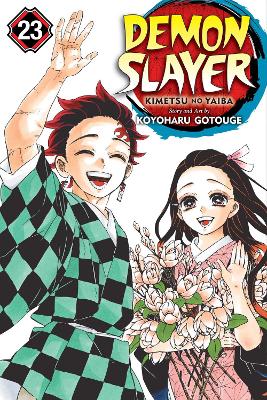 Copertina del libro DEMON SLAYER V23