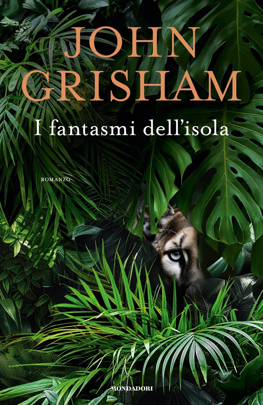 Copertina del libro I FANTASMI DELL'ISOLA Immagine principale del prodotto