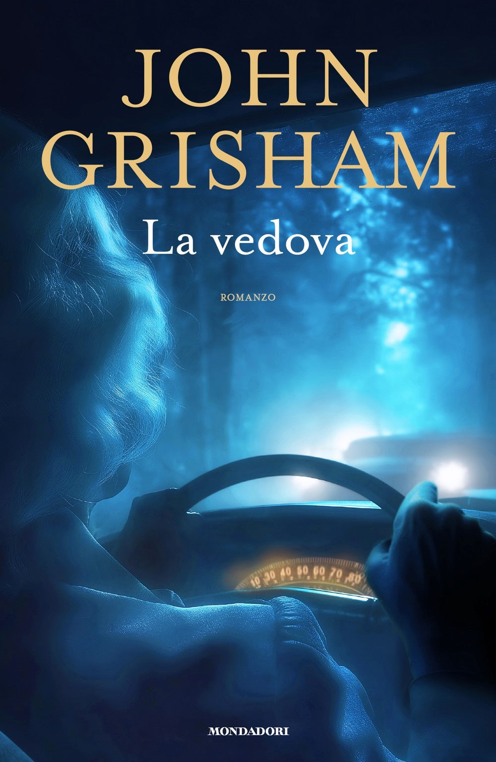 Copertina del libro LA VEDOVA Immagine principale del prodotto