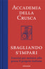 Copertina del libro SBAGLIANDO S'IMPARI