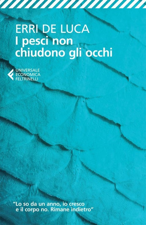 Copertina del libro PESCI NON CHIUDONO GLI OCCHI
