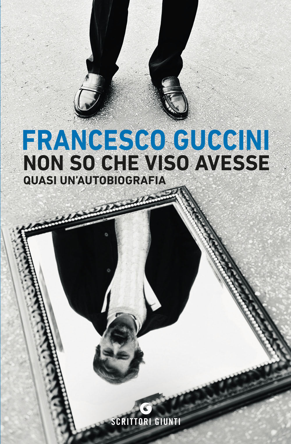 Copertina del libro NON SO CHE VISO AVESSE