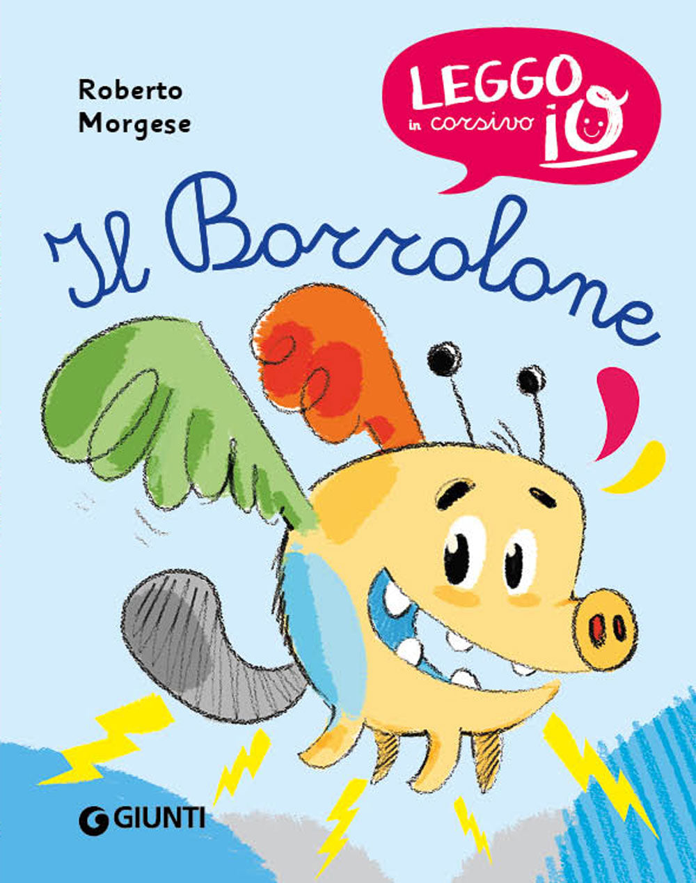 Copertina del libro IL BORROLONE