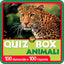 Copertina del libro ANIMALI