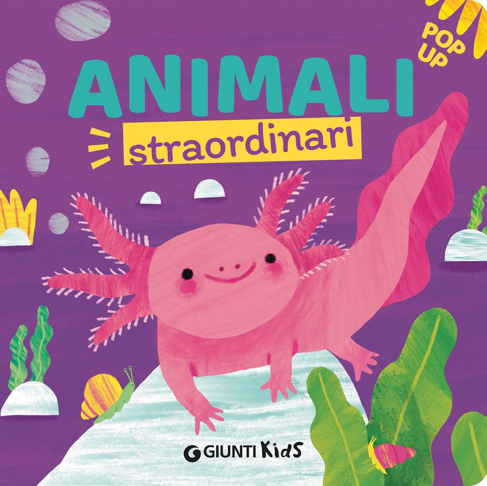 Copertina del libro ANIMALI STRAORDINARI