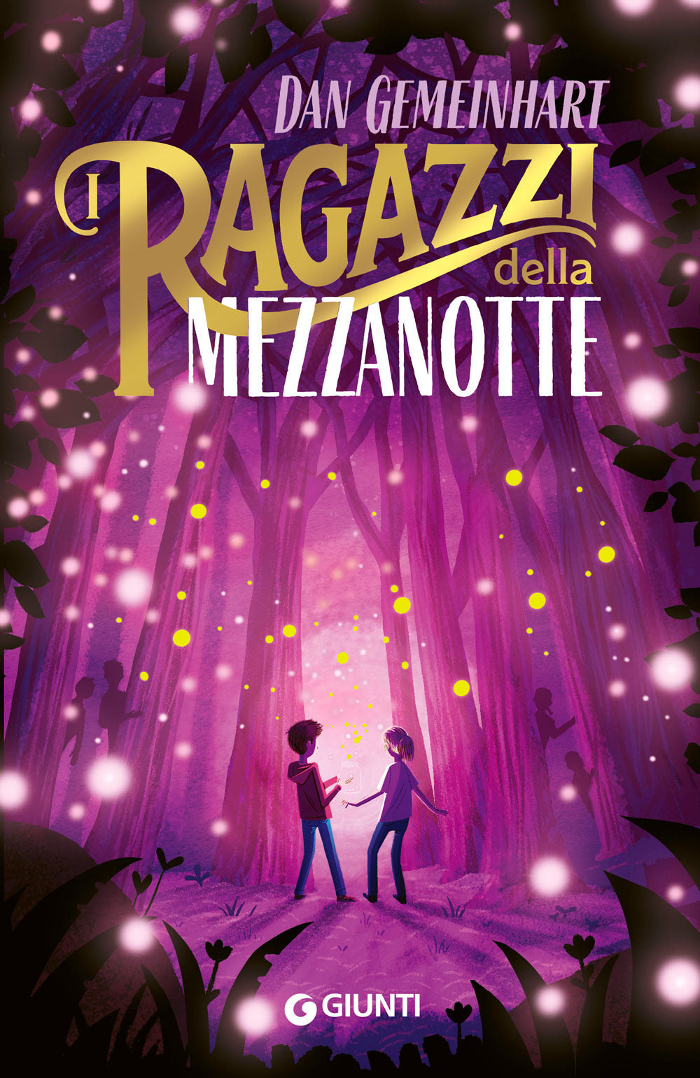 Copertina del libro I RAGAZZI DELLA MEZZANOTTE
