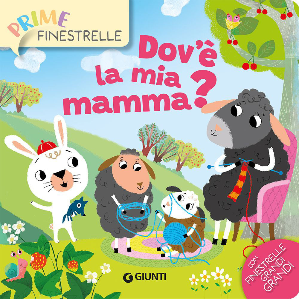 Copertina del libro DOV'È LA MIA MAMMA?