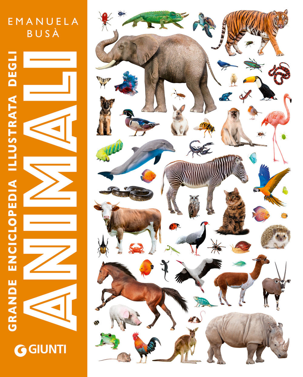 Copertina del libro GRANDE ENCICLOPEDIA ILLUSTRATA DEGLI ANI