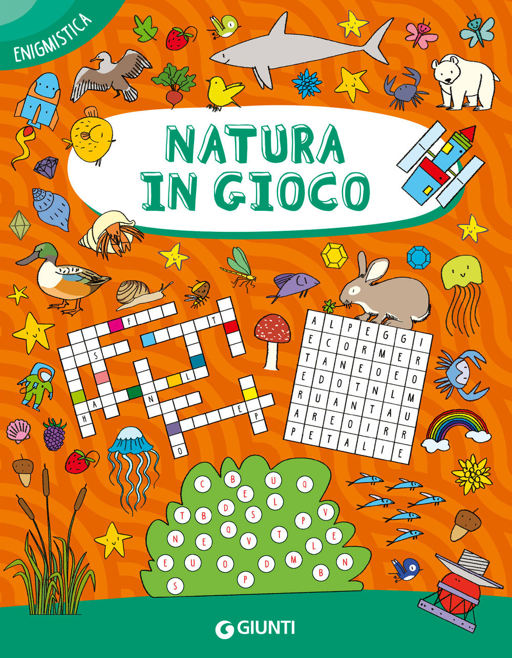 Copertina del libro NATURA IN GIOCO