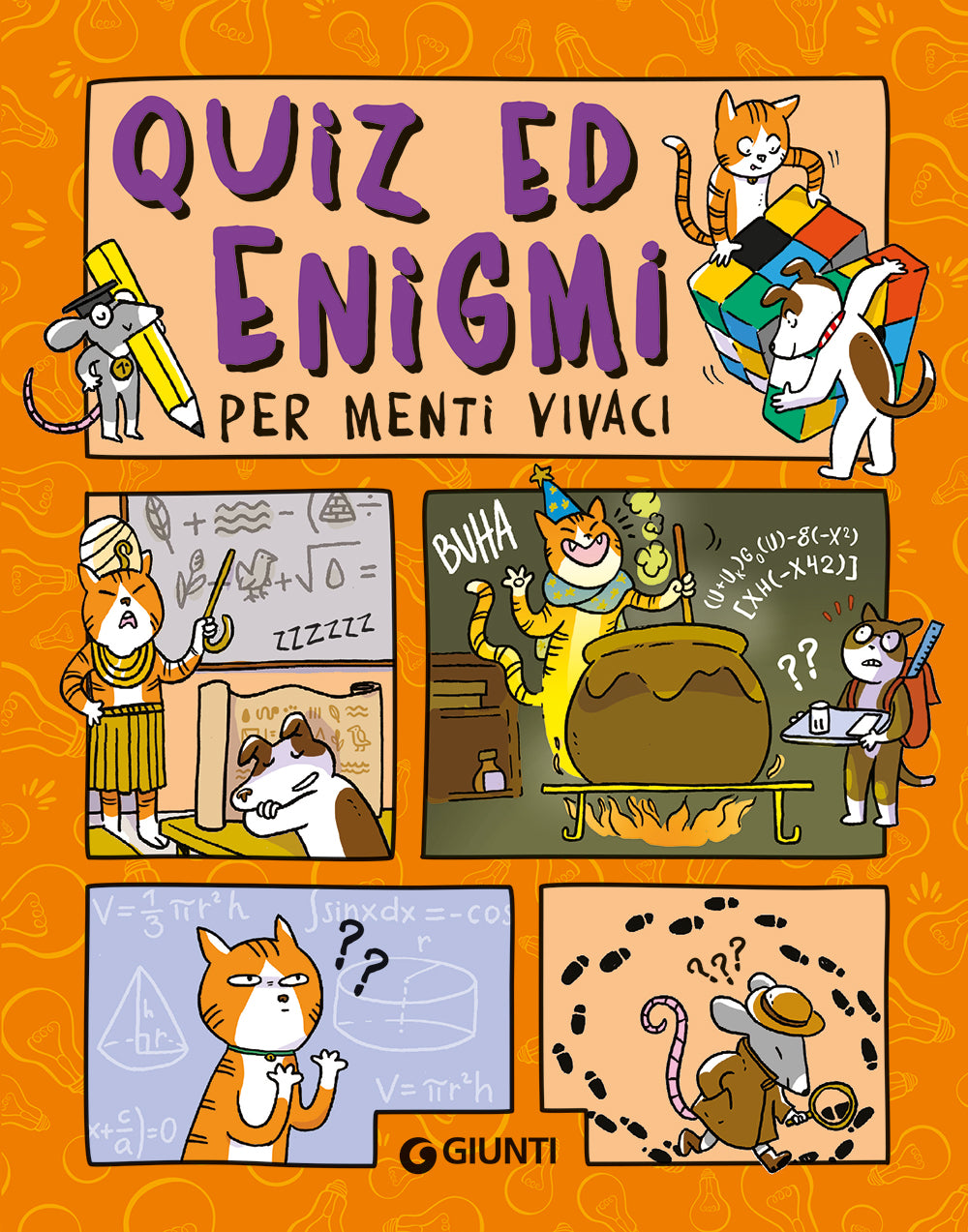 Copertina del libro QUIZ ED ENIGMI PER MENTI VIVACI