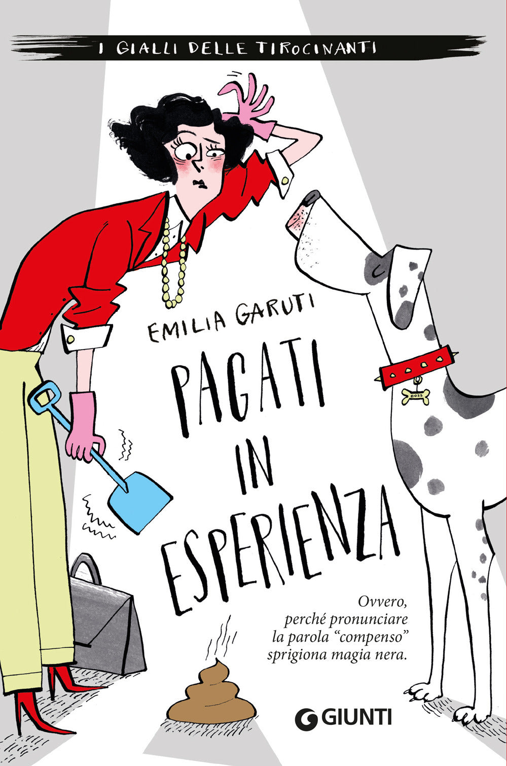 Copertina del libro PAGATI IN ESPERIENZA
