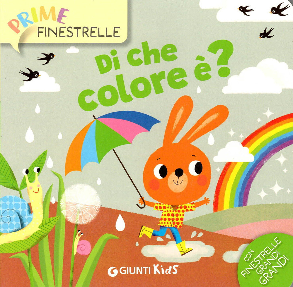 Copertina del libro DI CHE COLORE E'?