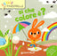 Copertina del libro DI CHE COLORE E'?