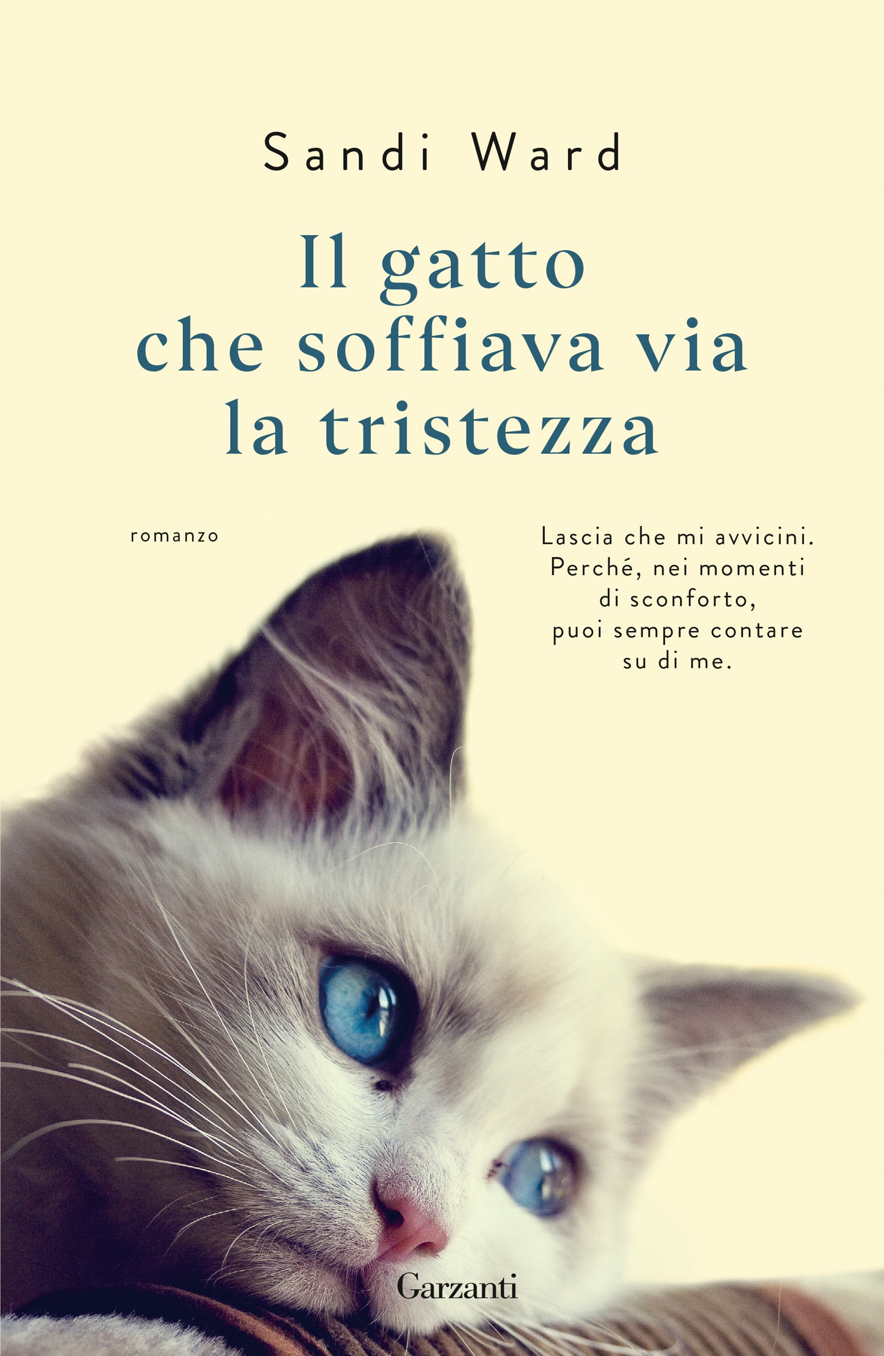Copertina del libro IL GATTO CHE SOFFIAVA VIA LA T Immagine principale del prodotto