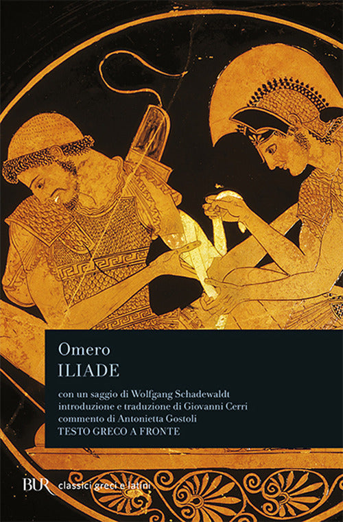 Copertina del libro ILIADE