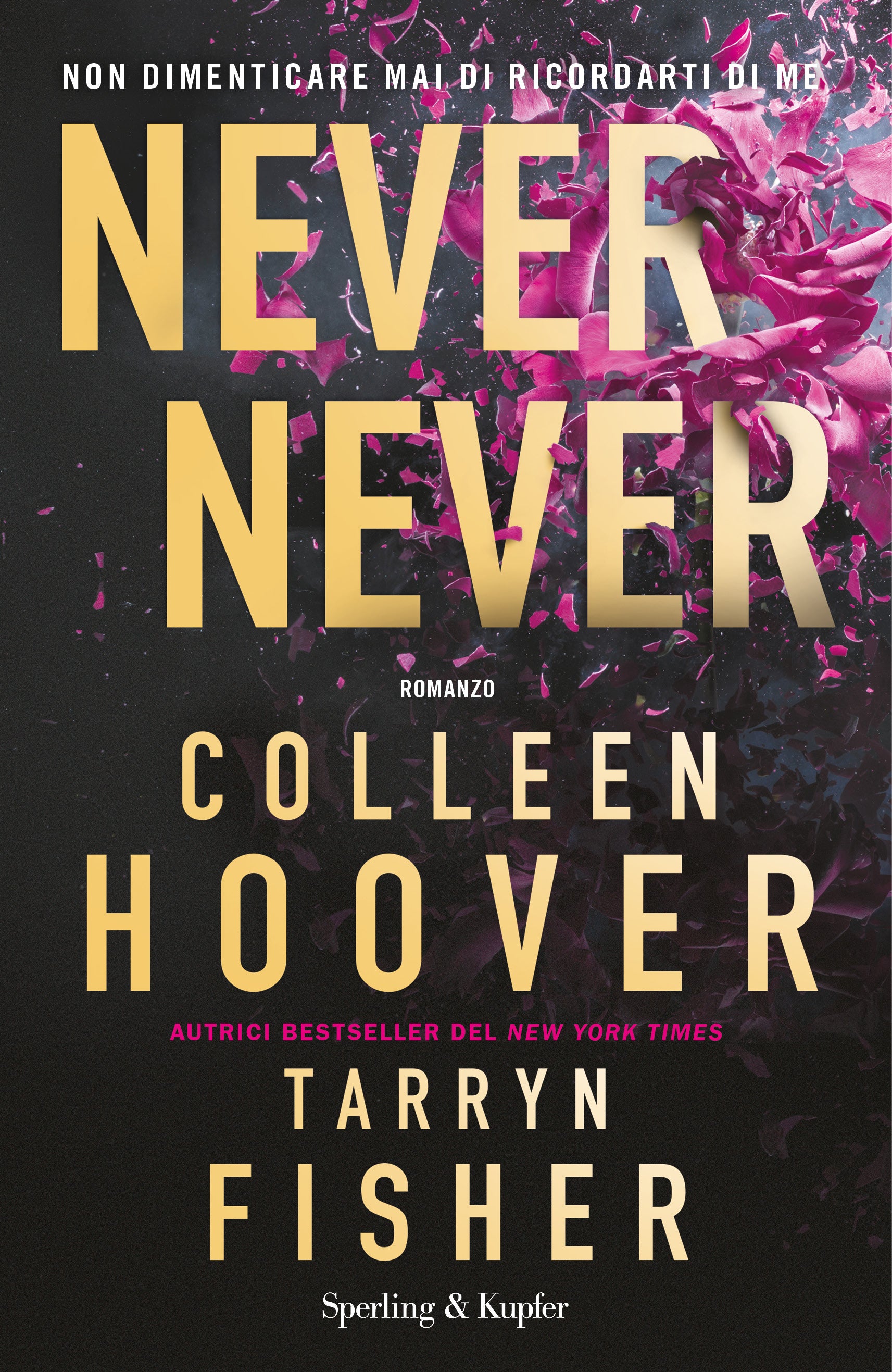 Copertina del libro NEVER NEVER