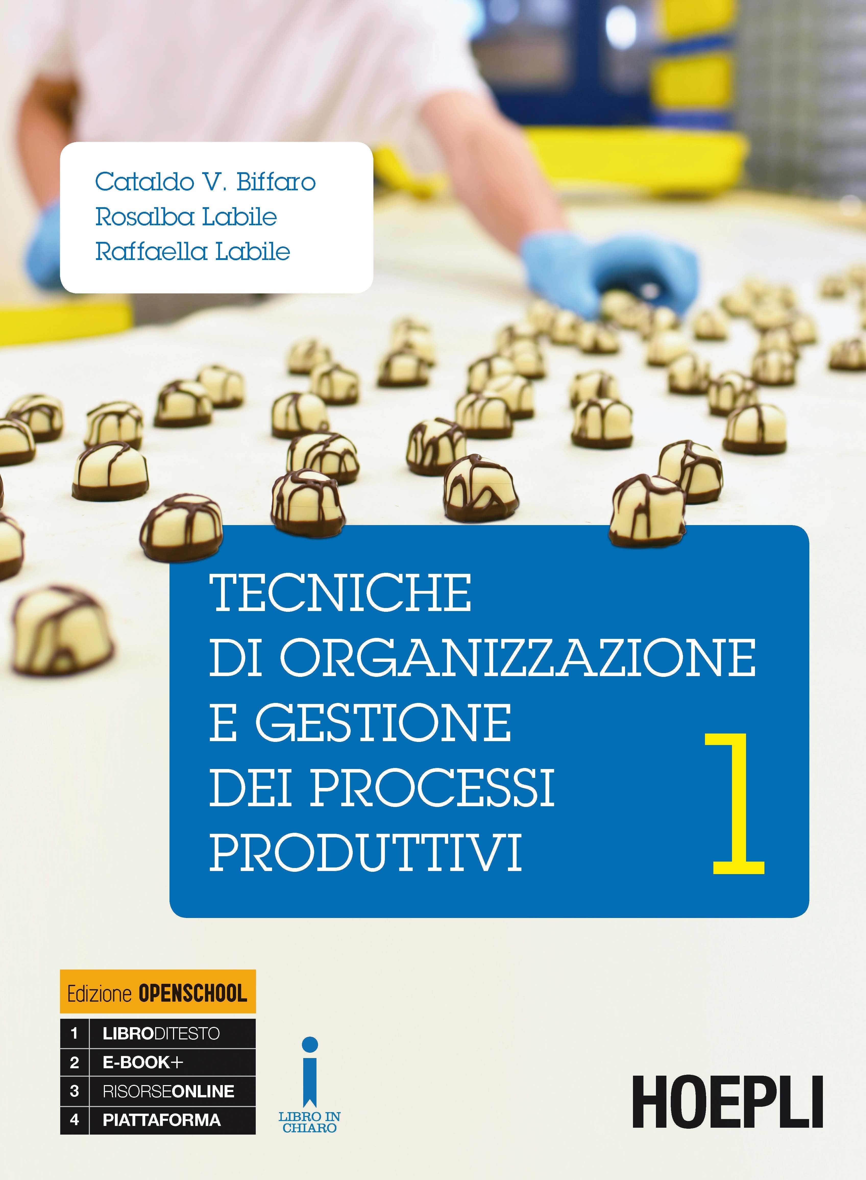 Copertina del libro TECNICHE DI ORGANIZZAZIONE E GESTIONE DE Immagine principale del prodotto