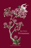 Copertina del libro PERSUASIONE