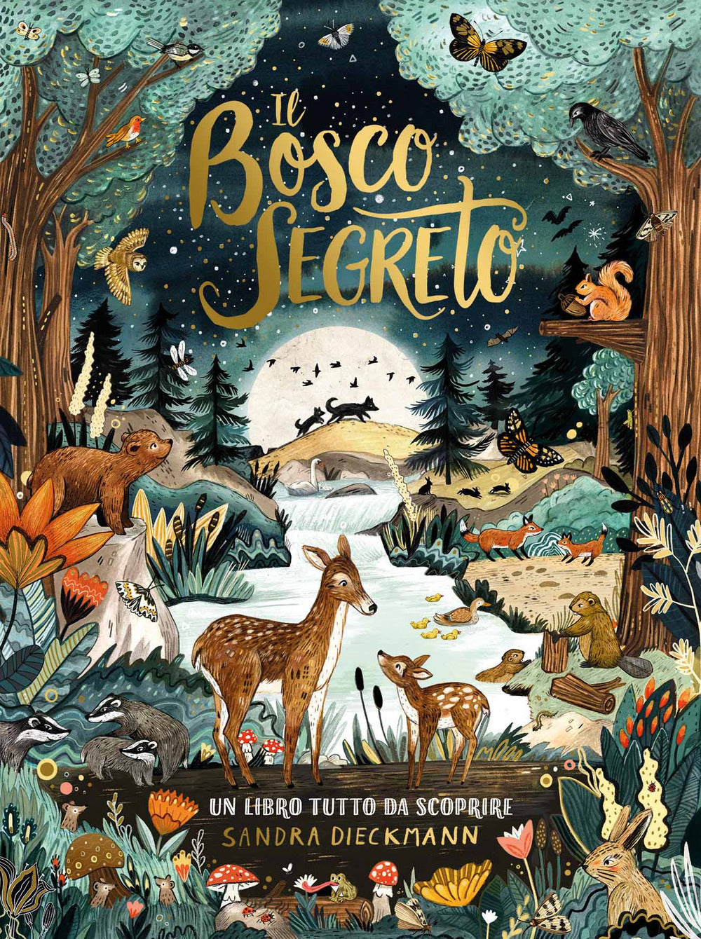 Copertina del libro IL BOSCO SEGRETO. EDIZ. A COLORI