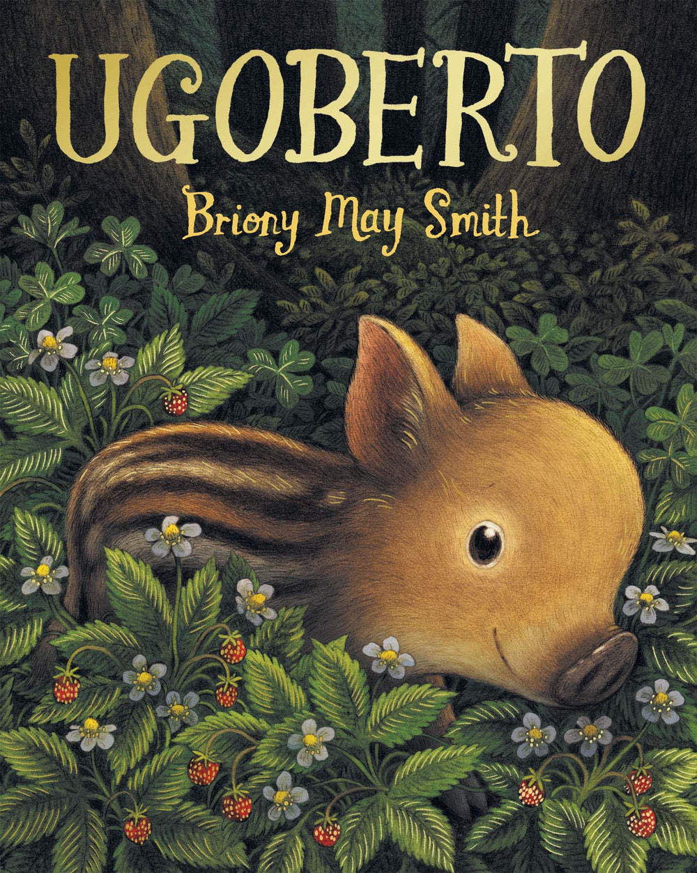 Copertina del libro UGOBERTO