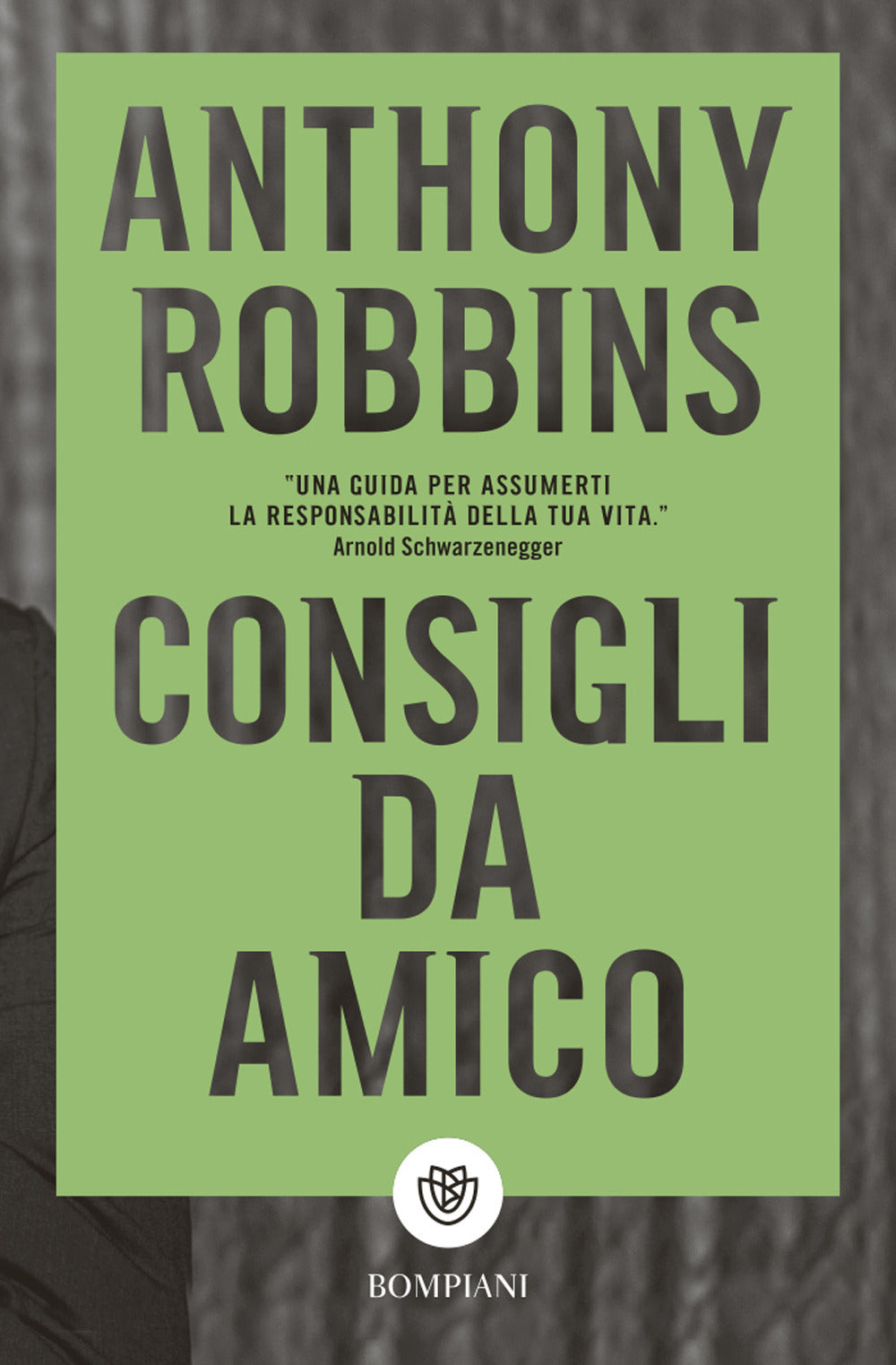 Copertina del libro CONSIGLI DA AMICO