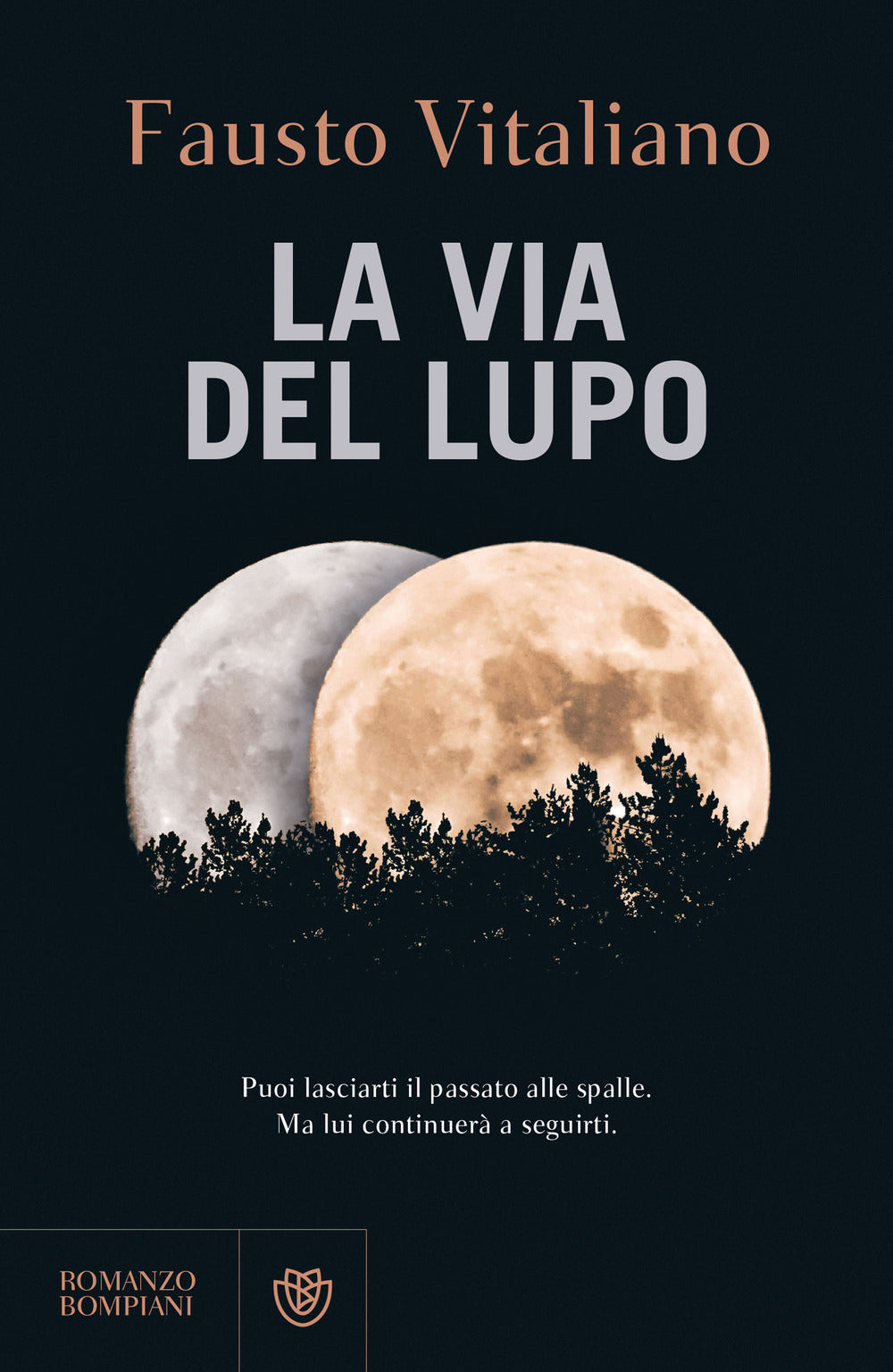 Copertina del libro LA VIA DEL LUPO