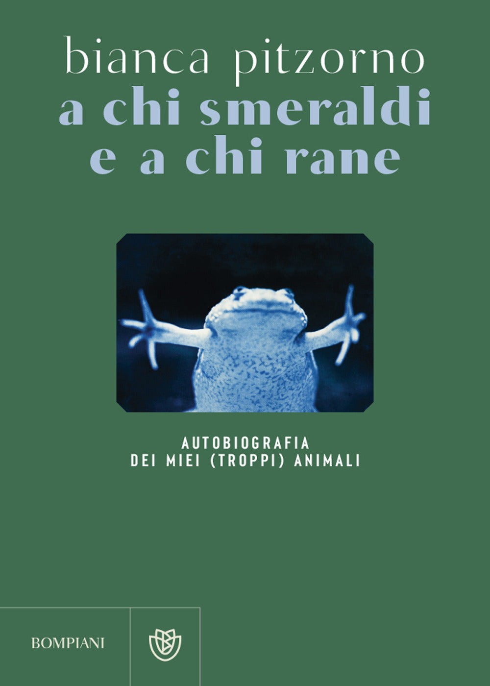 Copertina del libro A CHI SMERALDI E A CHI RANE