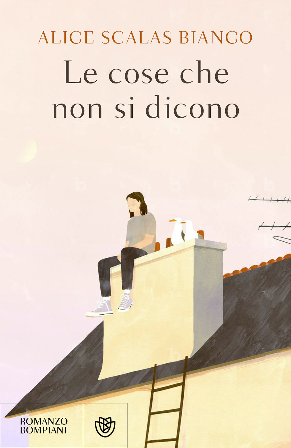 Copertina del libro LE COSE CHE NON SI DICONO Immagine principale del prodotto