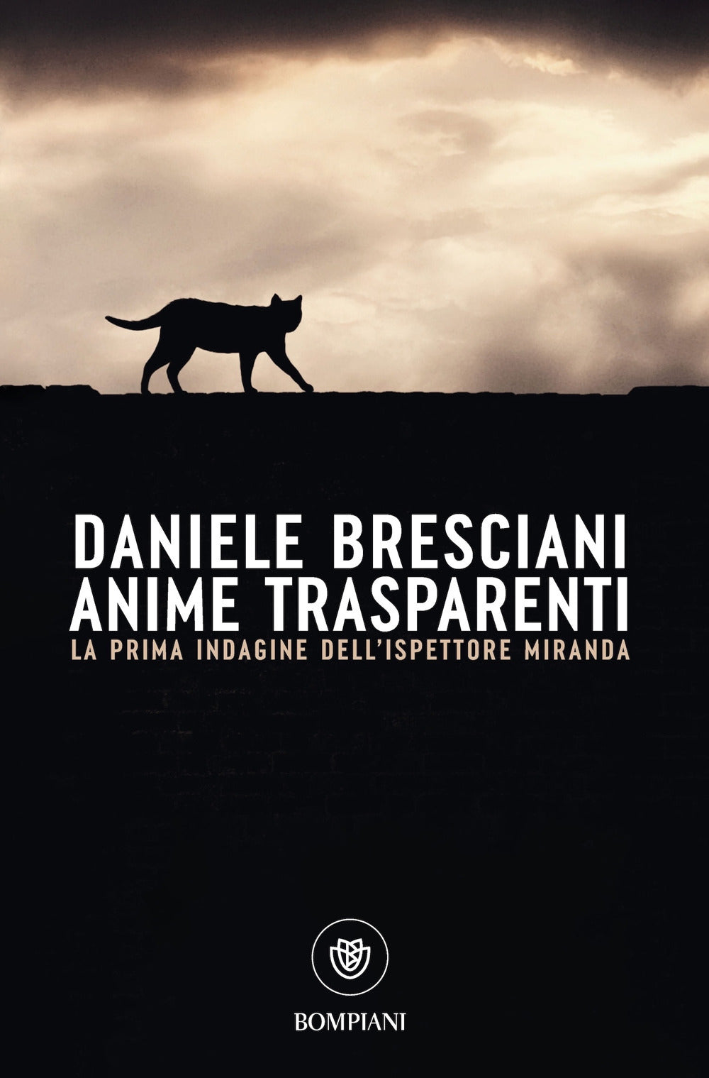Copertina del libro ANIME TRASPARENTI Immagine principale del prodotto