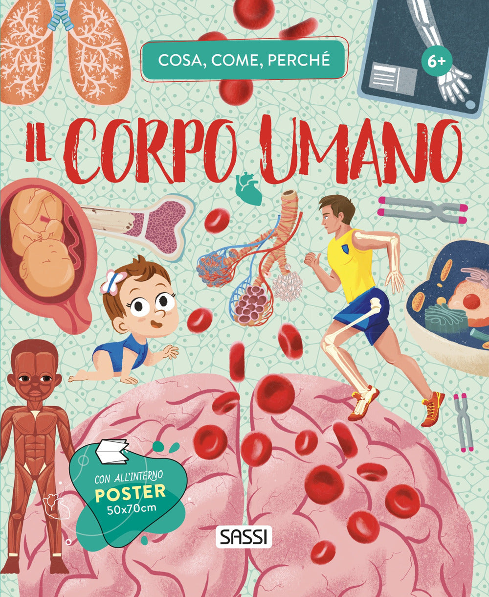 Copertina del libro CORPO UMANO