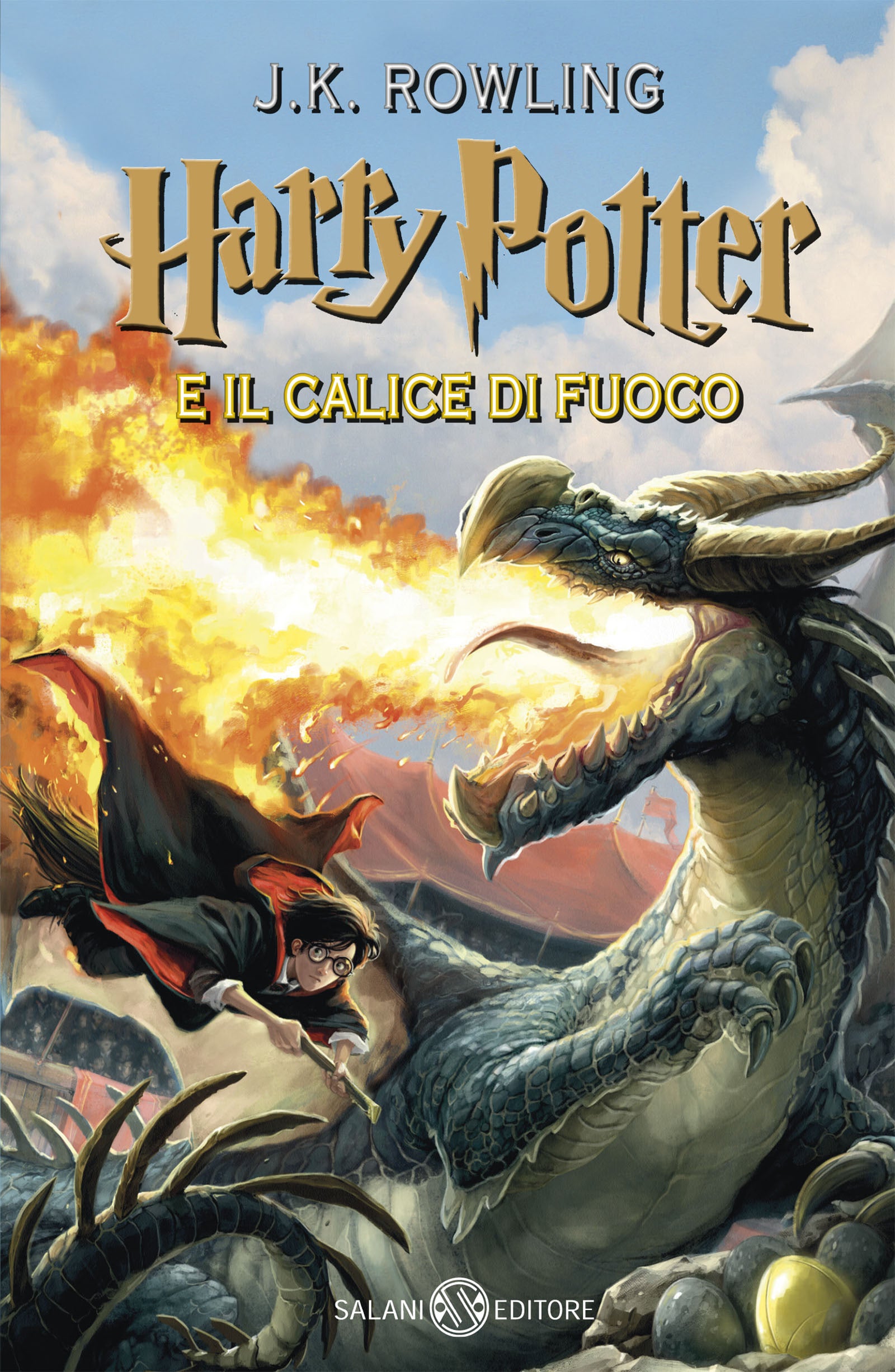 Copertina del libro HARRY POTTER 4 Immagine principale del prodotto