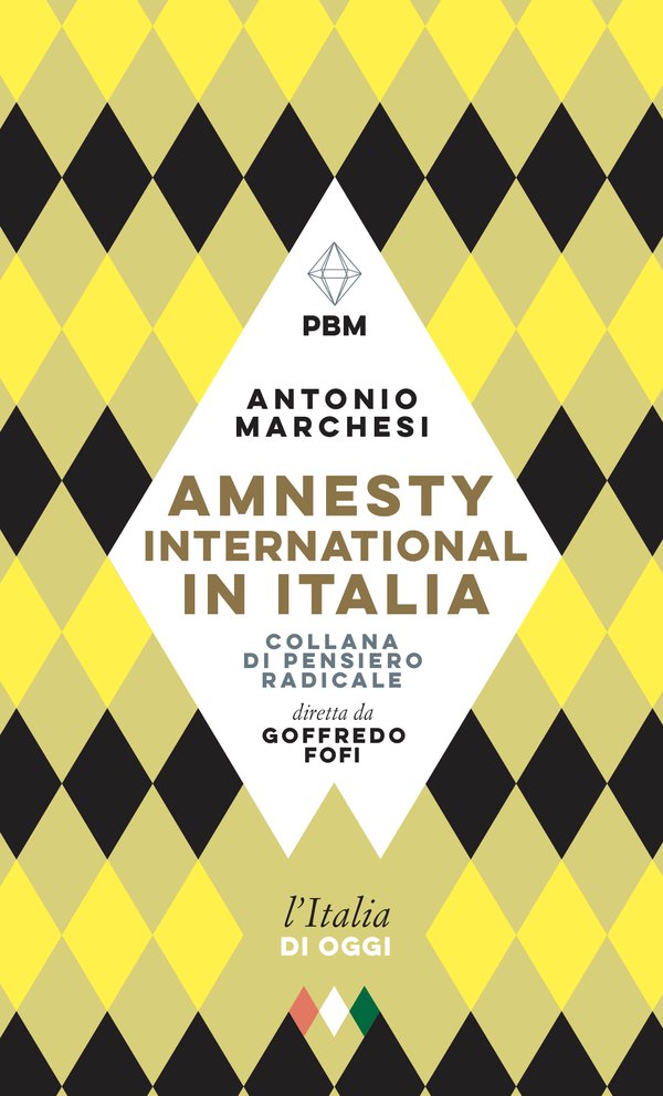 Copertina del libro AMNESTY INTERNATIONAL IN ITALIA