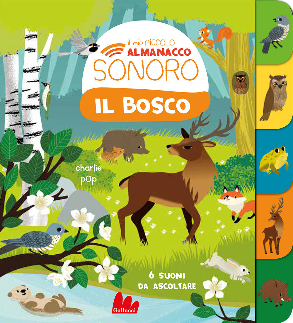 Copertina del libro ALMANACCO SONORO - IL BOSCO Immagine principale del prodotto