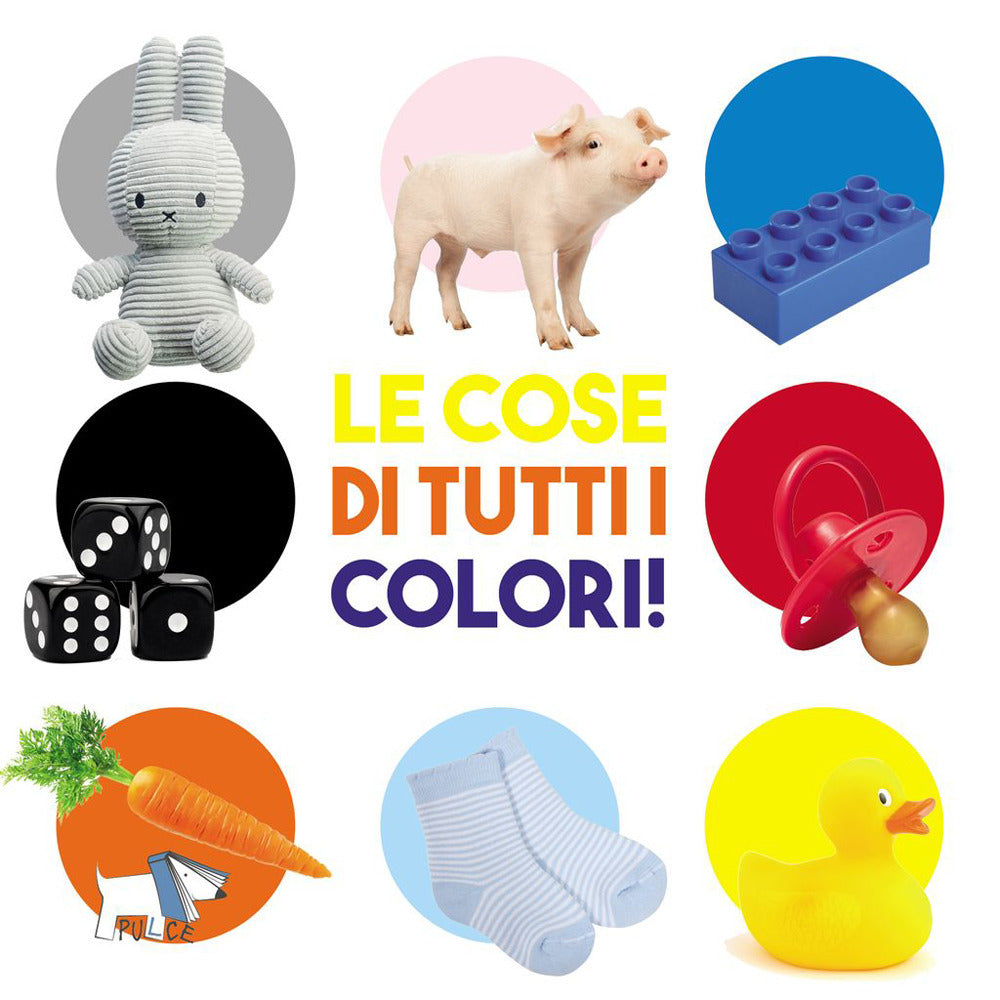 Copertina del libro LE COSE DI TUTTI I COLORI. EDIZ. A COLOR