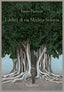 Copertina del libro I DELITTI DI VIA MEDINA SIDONI