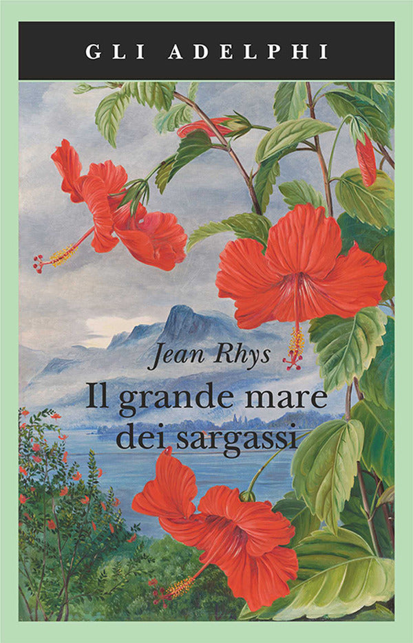 Copertina del libro IL GRANDE MARE DEI SARGASSI