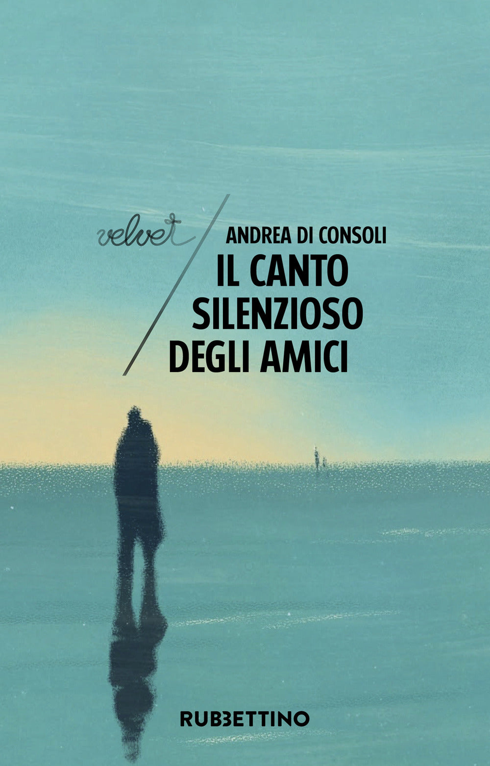 Copertina del libro IL CANTO SILENZIOSO DEGLI AMIC