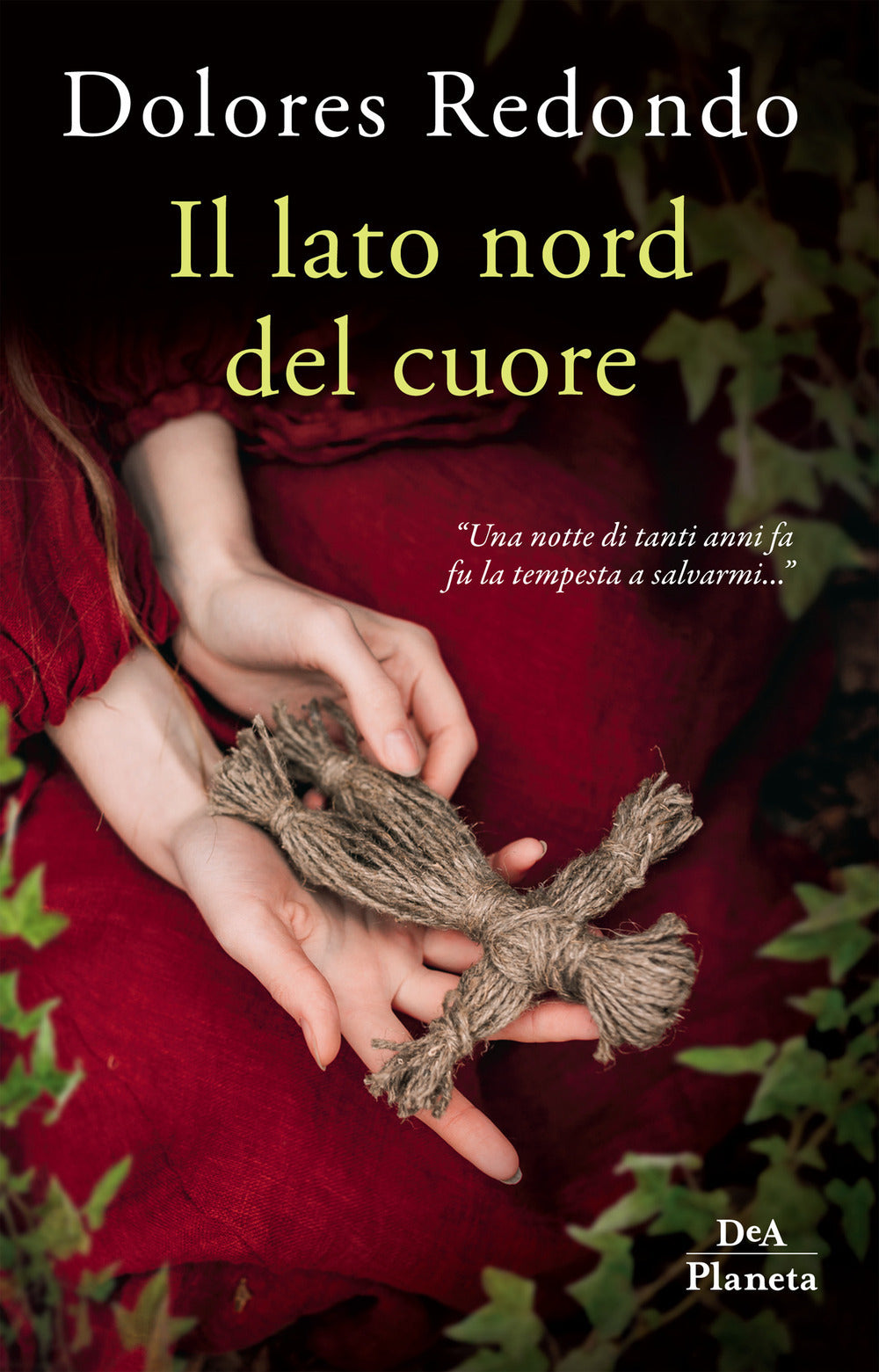 Copertina del libro IL LATO NORD DEL CUORE