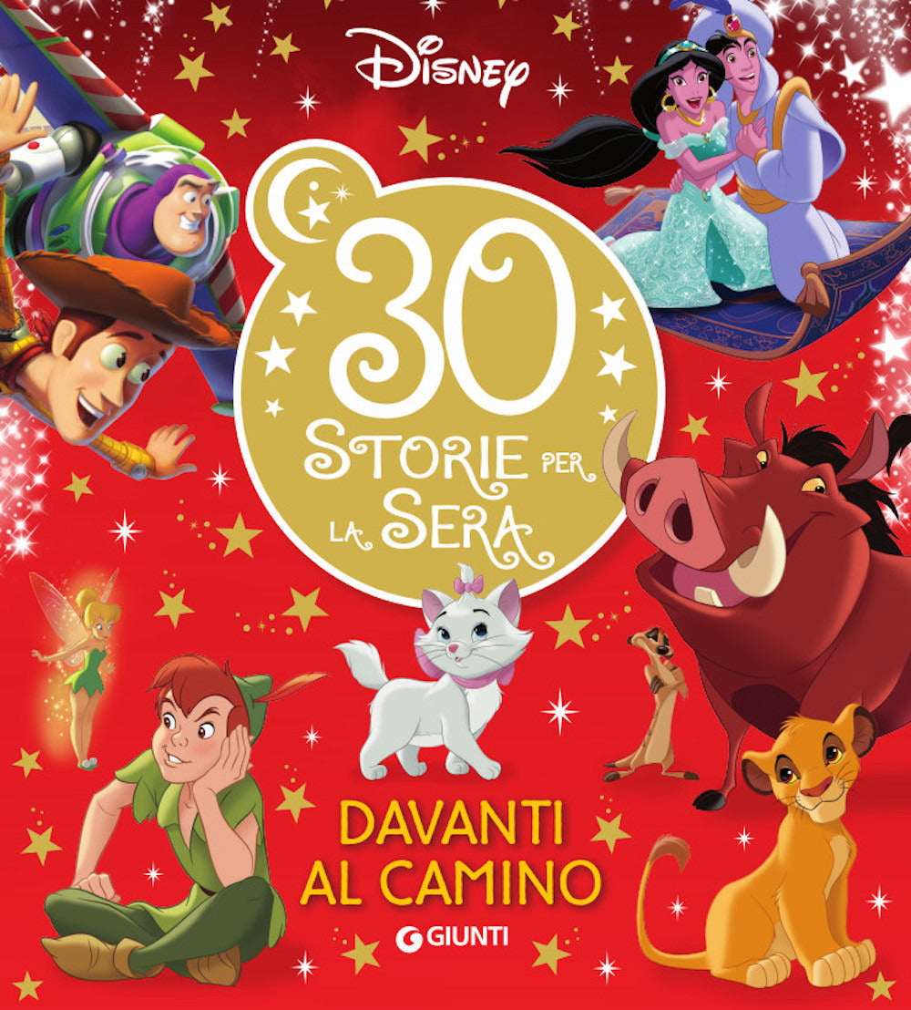 Copertina del libro 30 STORIE PER LA SERA DAVANTI AL CAMINO Immagine principale del prodotto