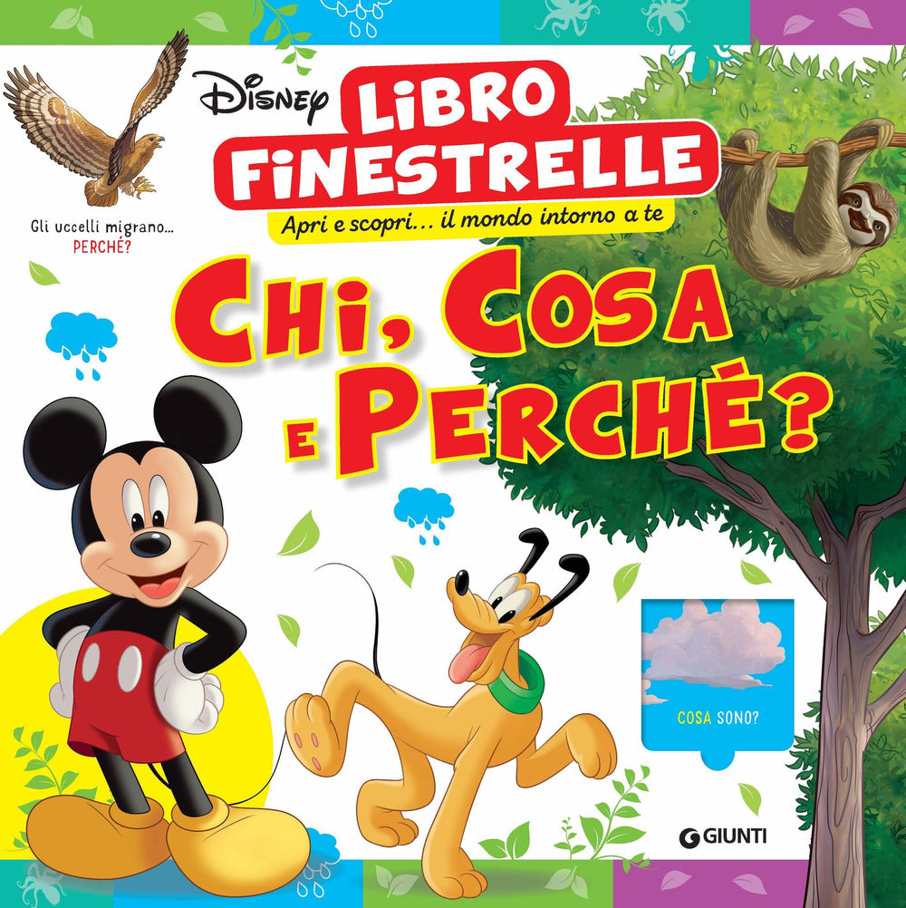 Copertina del libro CHI, COSA E PERCHÉ? LIBRO FINESTRELLE